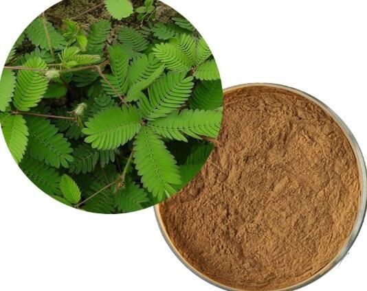 mimosa hostilis extract