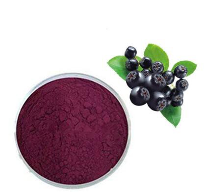 aronia berry powder