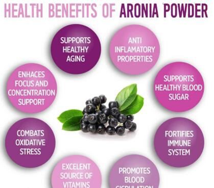 aronia powder benefits