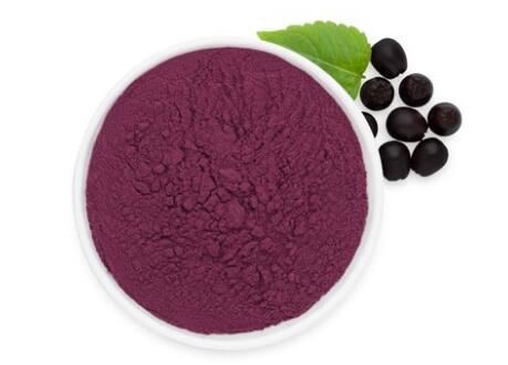 freeze dried aronia powder