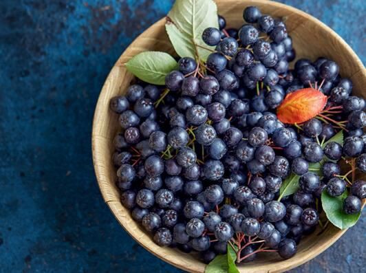 aronia berry extract benefits