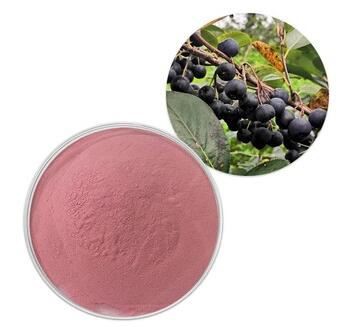 chokeberry fruit extract