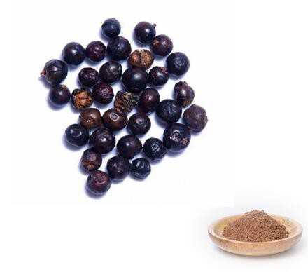 juniper berry extract