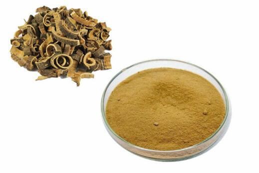 organic acacia powder