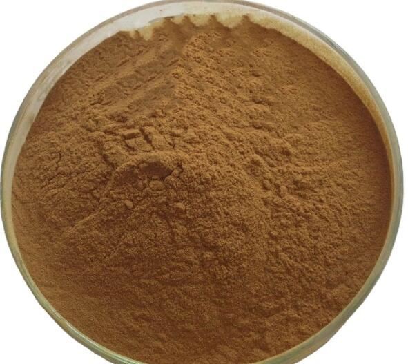 acacia root powder