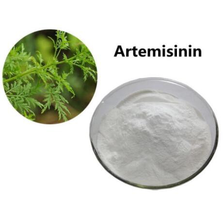 artemisinin buy