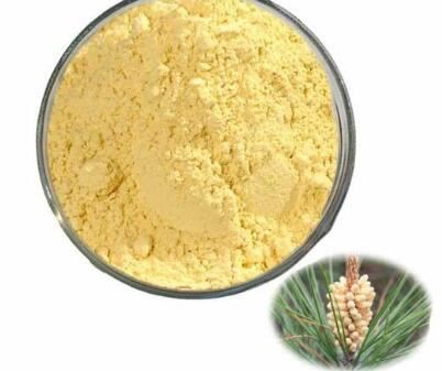 organic pine pollen powder extract