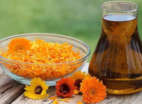 calendula powder application