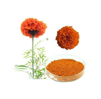 calendula officinalis extract