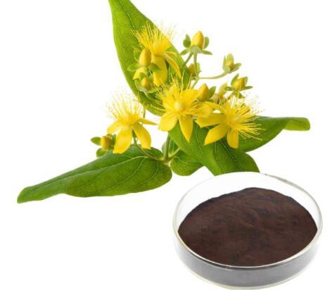 hypericum perforatum flower leaf stem extract