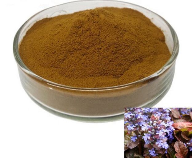 ajuga turkest extract