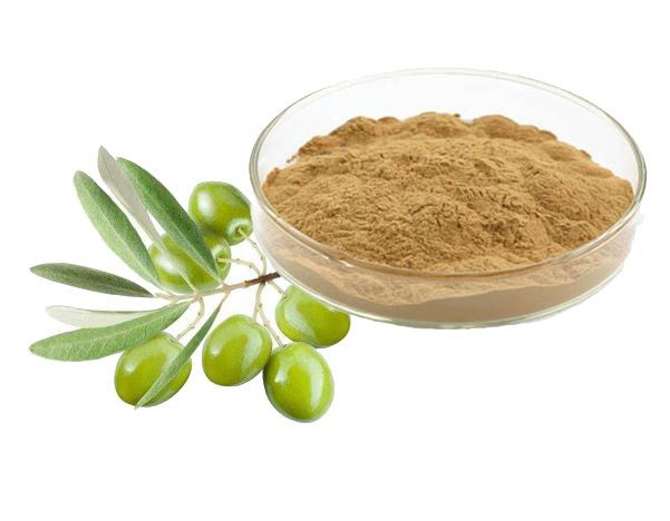 olive leaf extract powder