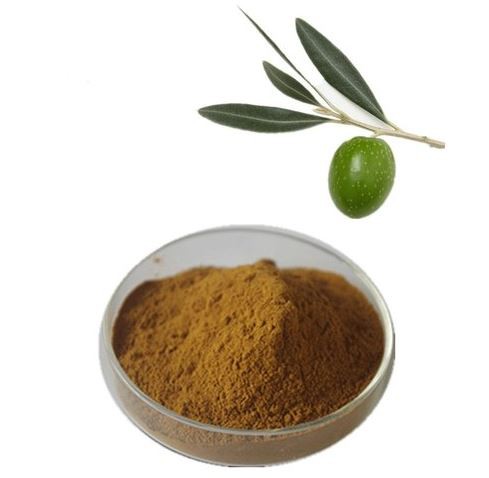 organic olive leaf powder