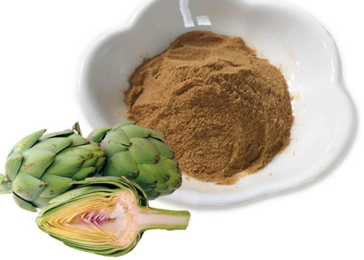 artichoke extract powder