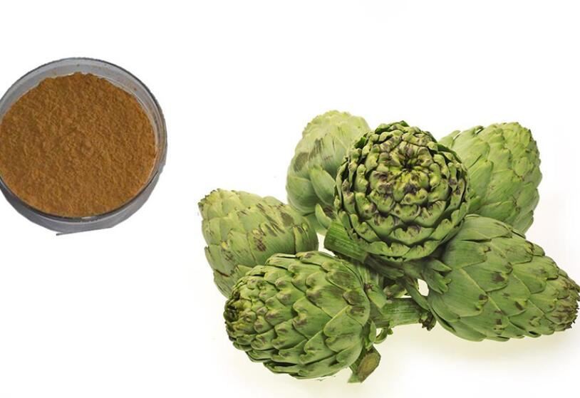 organic artichoke extract