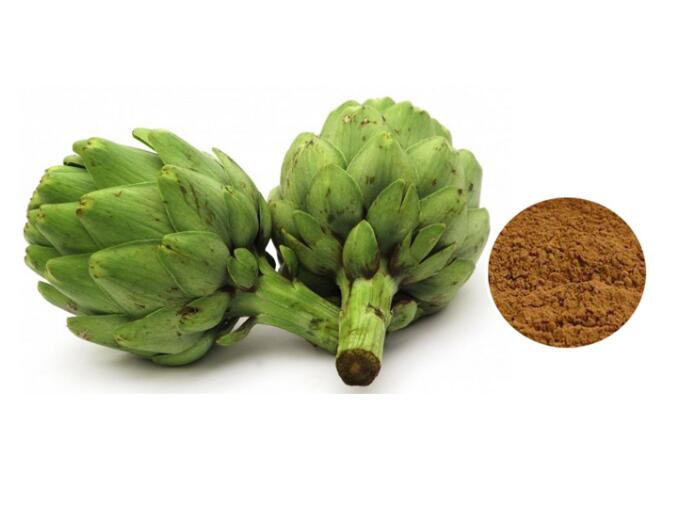 buy artichoke extract