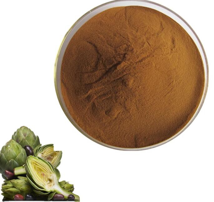 artichoke extract leaf.jpg