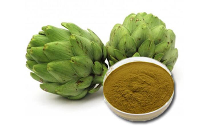 cynara scolymus leaf extract