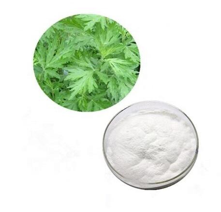 wormwood leaf extract