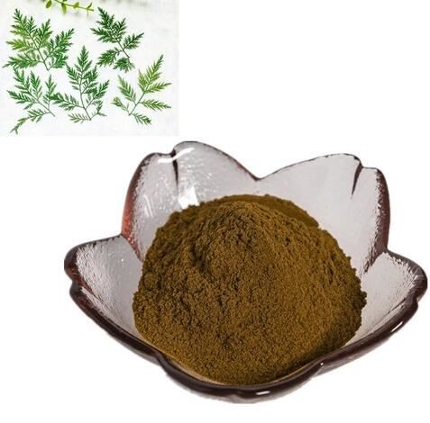 wormwood leaf powder