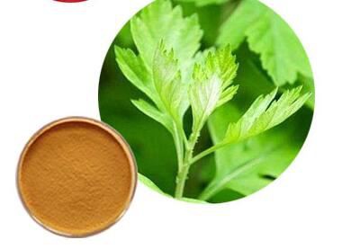 wormwood powder organic