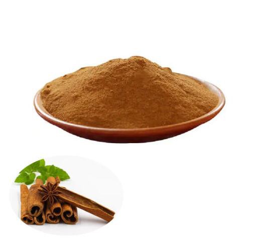 cinnamon extract powder