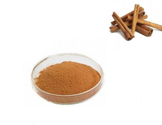 organic cinnamon bark powder