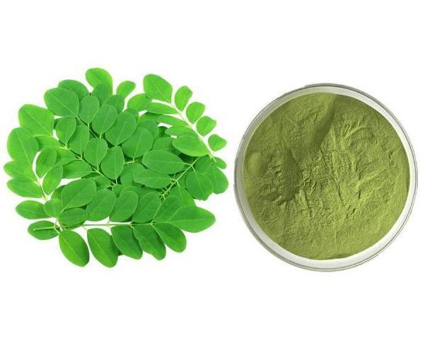 moringa oleifera extract