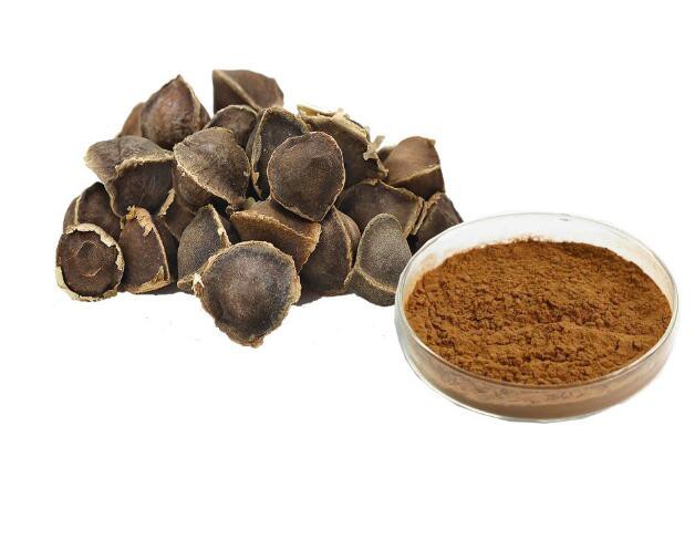 moringa pterygosperma seed extract