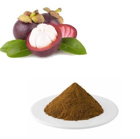 mangosteen pericarp extract