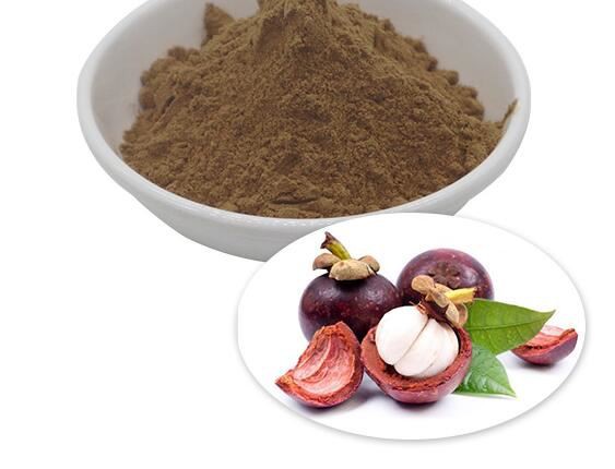 mangosteen fruit extract