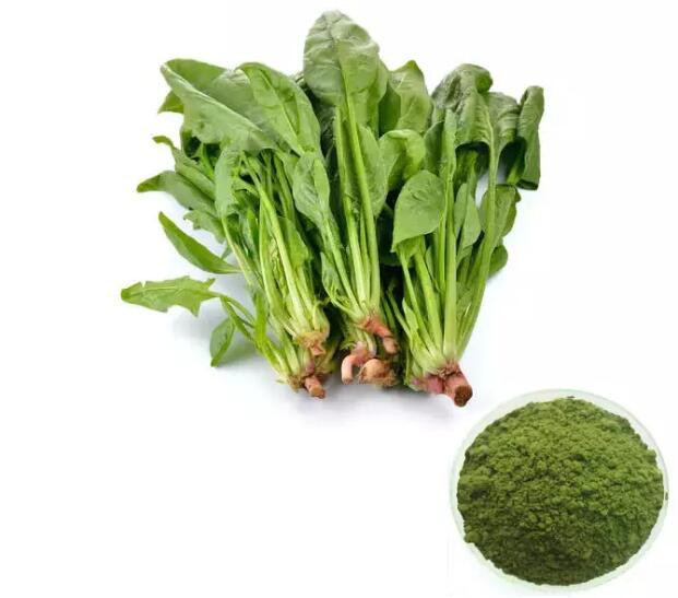 Dried Spinach Powder.jpg