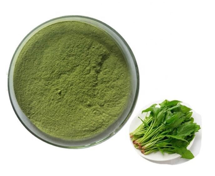 dehydrated spinach powder.jpg