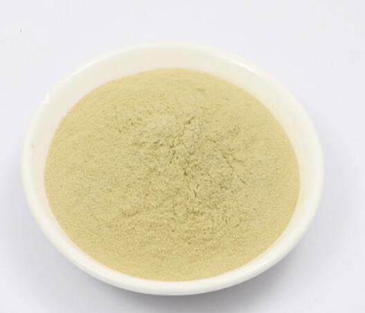 green asparagus powder.jpg