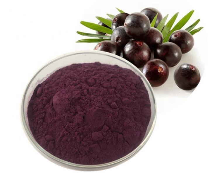 acai freeze dried powder.jpg