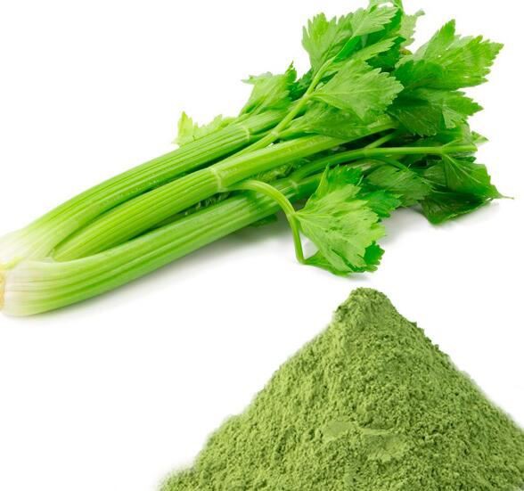 Dried Celery Powder.jpg