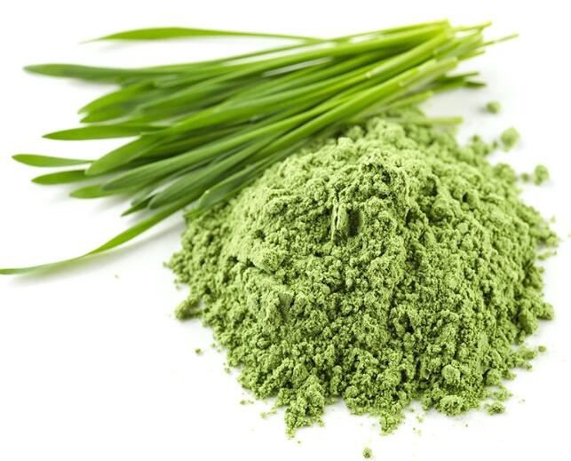 organic freeze dried wheatgrass powder.jpg