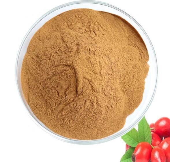 rosehip extract powder.jpg