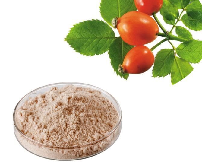 rosehip seed extract.jpg