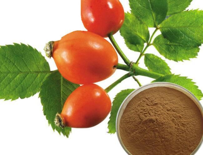 rosehip extract for skin.jpg