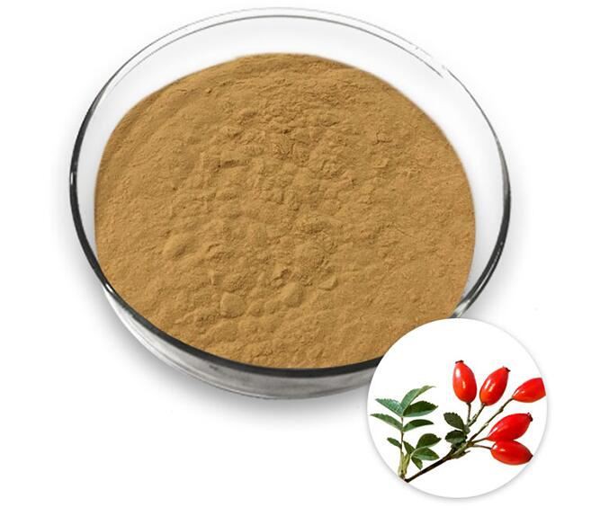 purchase rosehip extract.jpg