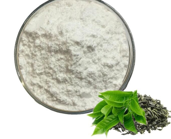 egcg bulk powder.jpg