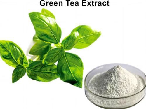 green tea extract egcg.jpg