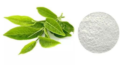 green tea extract with egcg.jpg