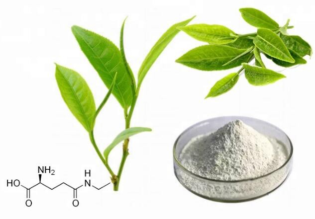 best egcg green tea extract.jpg