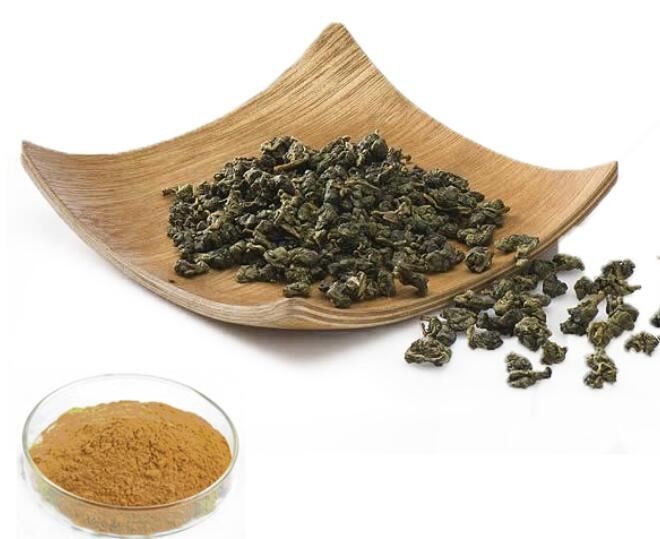 oolong tea extract weight loss.jpg