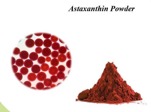 haematococcus pluvialis astaxanthin.jpg