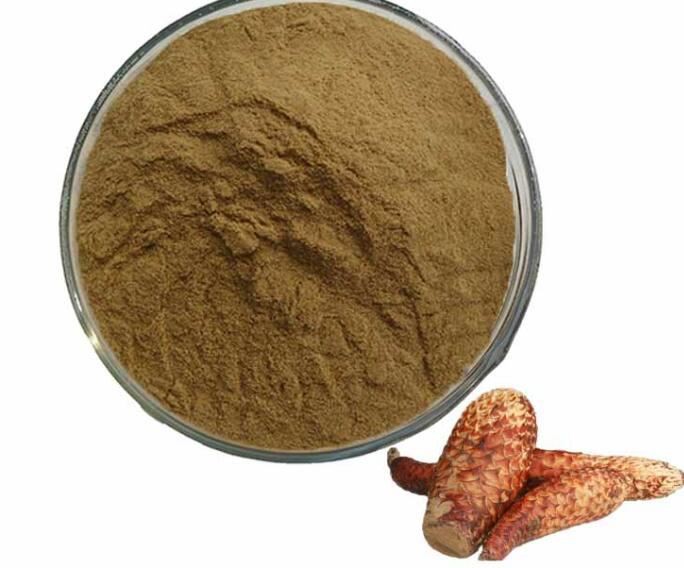 cistanche tubulosa extract.jpg