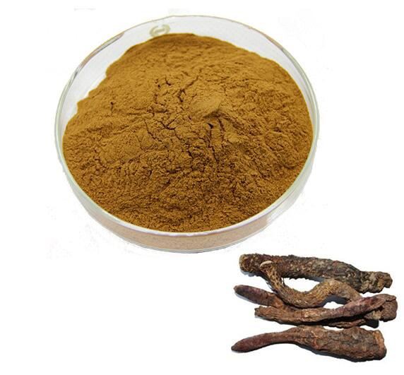 cistanche extract powder.jpg