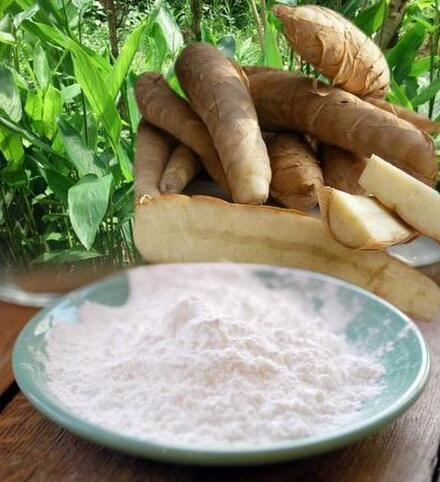 organic arrowroot powder bulk.jpg